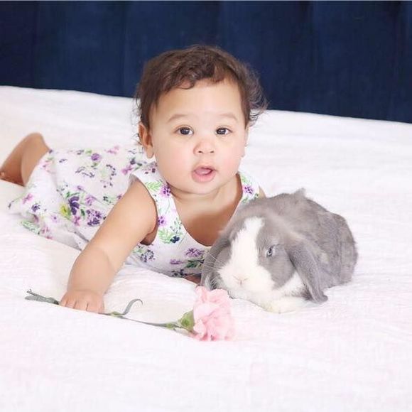 Meet your Posher, Tasha - Picture 1 of 1